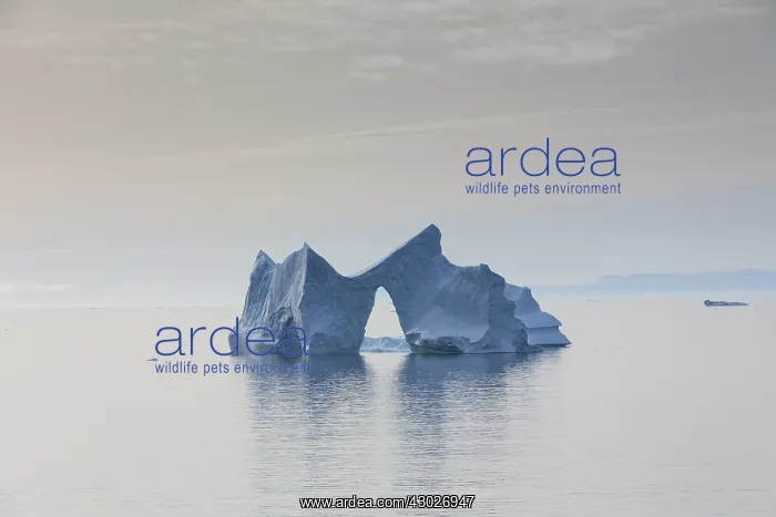  : Iceberg - Ilulissat Icefjord - Greenland