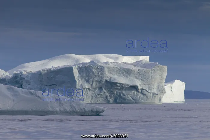  : Iceberg - Ilulissat Icefjord - Greenland