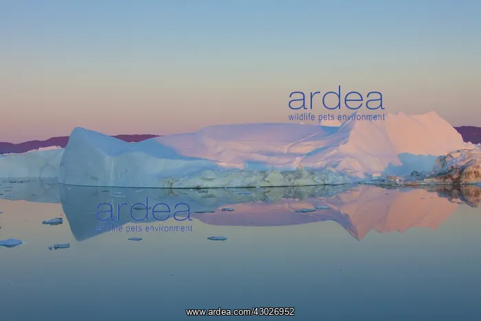  : Iceberg - Ilulissat Icefjord - Greenland