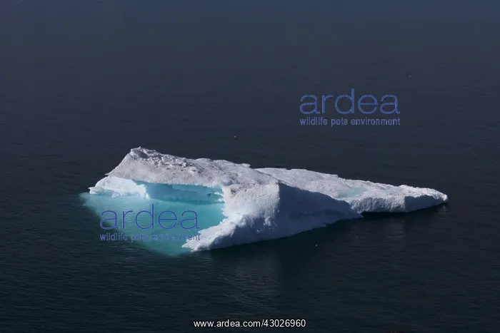  : Iceberg - Ilulissat Icefjord - Greenland