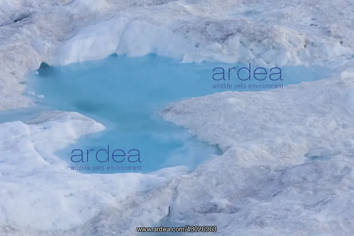  : Iceberg - Ilulissat Icefjord - Greenland
