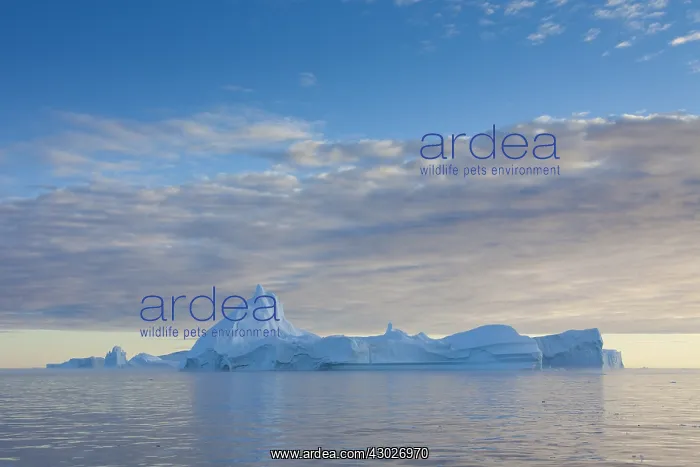  : Iceberg - Ilulissat Icefjord - Greenland