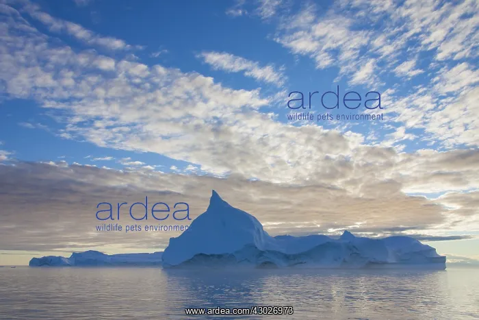  : Iceberg - Ilulissat Icefjord - Greenland