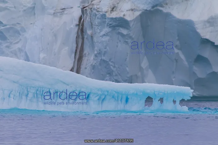  : Iceberg - Ilulissat Icefjord - Greenland