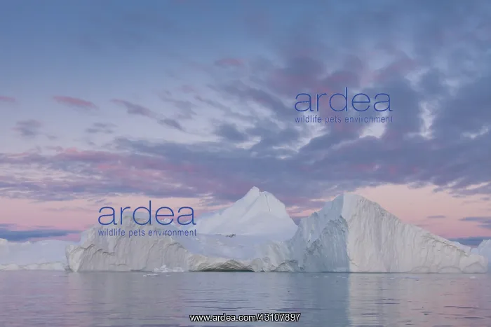  : Iceberg - Ilulissat Icefjord - Greenland