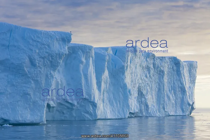  : Iceberg - Ilulissat Icefjord - Greenland