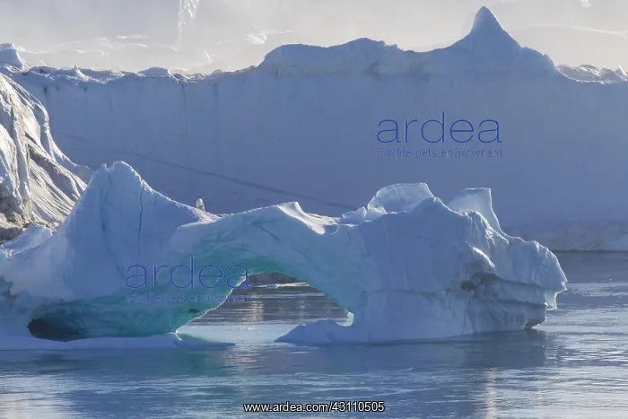  : Iceberg - Ilulissat Icefjord - Greenland