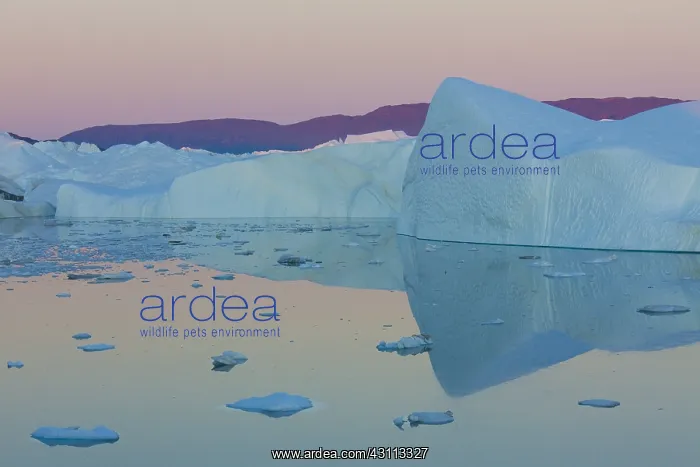  : Iceberg - Ilulissat Icefjord - Greenland