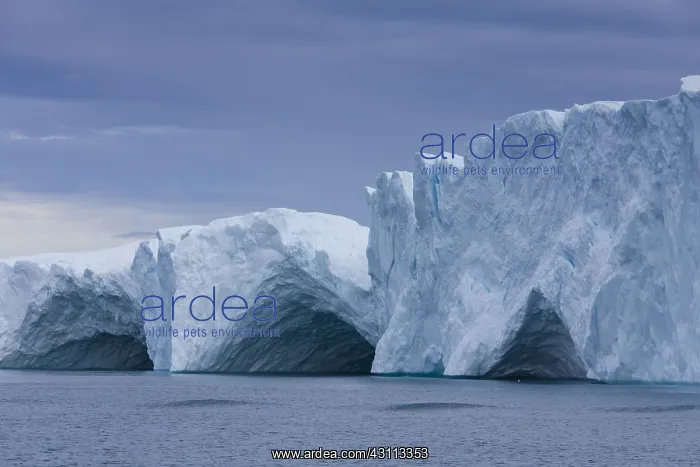  : Iceberg - Ilulissat Icefjord - Greenland