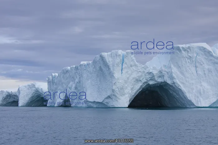  : Iceberg - Ilulissat Icefjord - Greenland