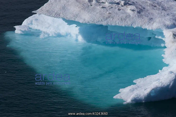  : Iceberg - Ilulissat Icefjord - Greenland