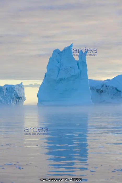  : Iceberg - Ilulissat Icefjord - Greenland