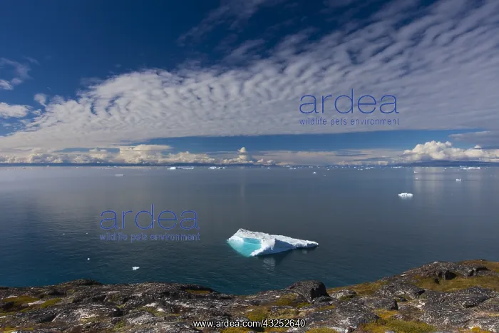  : Iceberg - Ilulissat Icefjord - Greenland