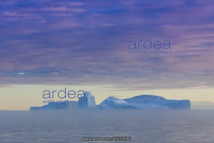  : Iceberg - Ilulissat Icefjord - Greenland