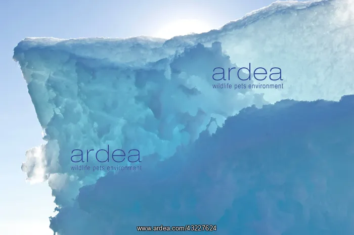 : Iceberg Ittoqqortoormiit, Scoresby sound : Iceberg Ittoqqortoormiit, Scoresby sound