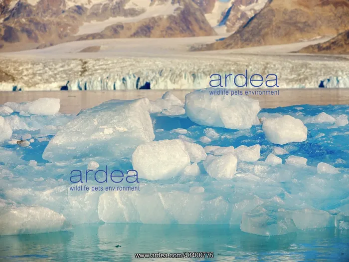 : Iceberg in front of Knud Rasmussen Glacier (also : Iceberg in front of Knud Rasmussen Glacier (also