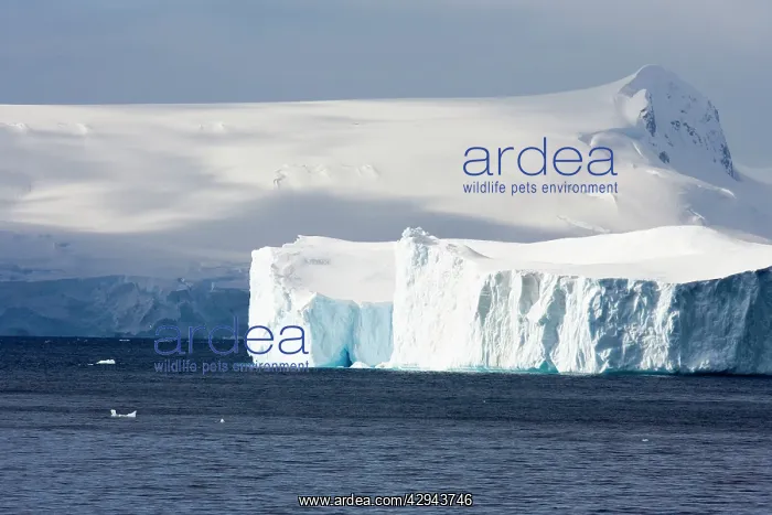 : Iceberg in the Lemaire channel : Iceberg in the Lemaire channel
