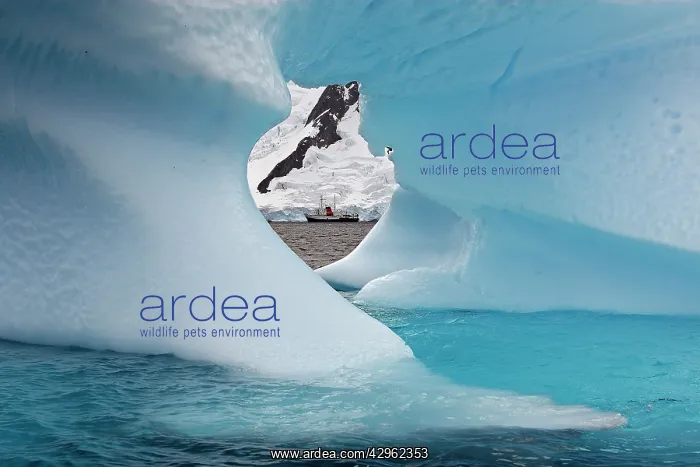 : Iceberg in the Lemaire Channel along the coast : Iceberg in the Lemaire Channel along the coast