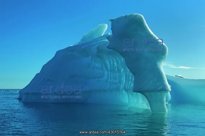 : Iceberg melting Arctic ocean Summer : Iceberg melting Arctic ocean Summer