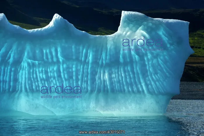 : Iceberg detail of melting iceberg Arctic ocean Summer : Iceberg detail of melting iceberg Arctic ocean Summer