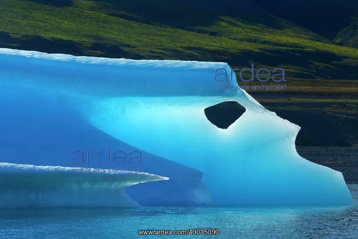 : Iceberg detail of melting iceberg Arctic ocean Summer : Iceberg detail of melting iceberg Arctic ocean Summer