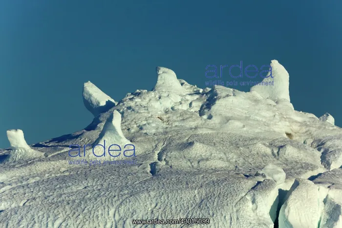 : Iceberg detail of melting iceberg Arctic ocean Summer : Iceberg detail of melting iceberg Arctic ocean Summer