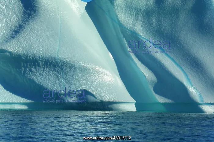 : Iceberg detail of melting iceberg Arctic ocean Summer : Iceberg detail of melting iceberg Arctic ocean Summer