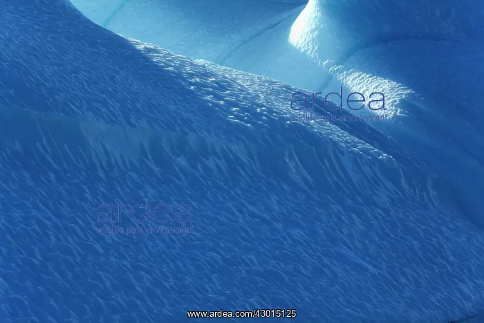 : Iceberg detail of melting iceberg Arctic ocean Summer : Iceberg detail of melting iceberg Arctic ocean Summer