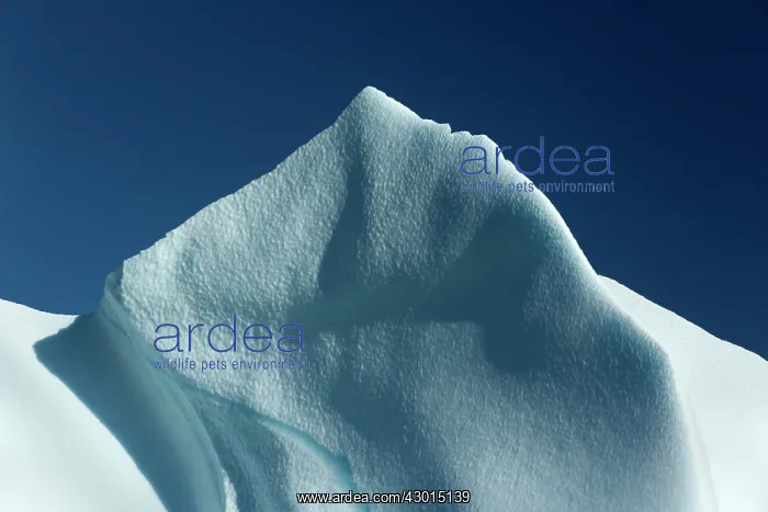 : Iceberg detail of melting iceberg Arctic ocean Summer : Iceberg detail of melting iceberg Arctic ocean Summer