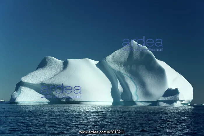 : Iceberg melting iceberg drifting Arctic ocean Summer : Iceberg melting iceberg drifting Arctic ocean Summer