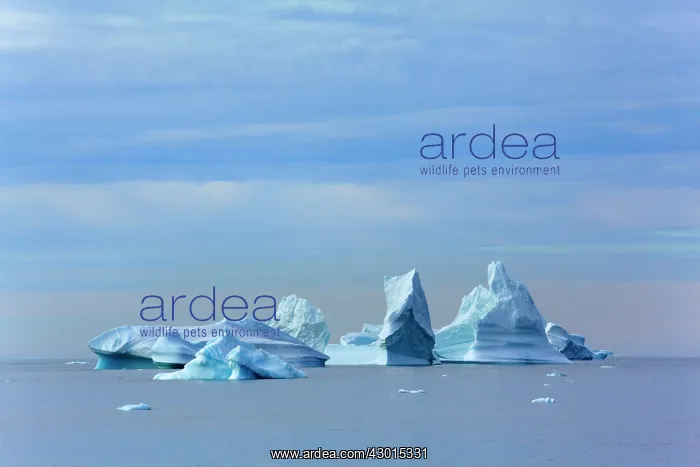 : Iceberg melting iceberg drifting Arctic ocean Summer : Iceberg melting iceberg drifting Arctic ocean Summer