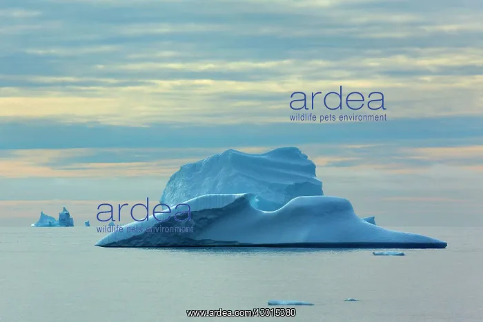 : Iceberg melting iceberg drifting Arctic ocean Summer : Iceberg melting iceberg drifting Arctic ocean Summer