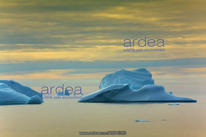 : Iceberg melting iceberg drifting Arctic ocean Summer : Iceberg melting iceberg drifting Arctic ocean Summer