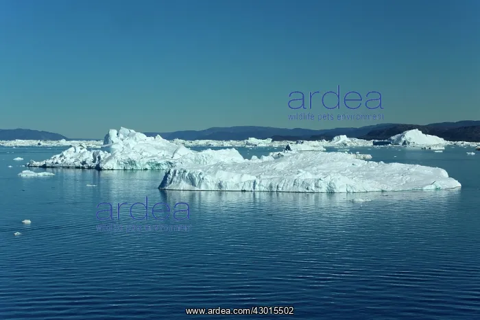 : Iceberg melting iceberg drifting Arctic ocean Summer : Iceberg melting iceberg drifting Arctic ocean Summer