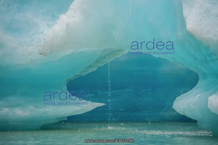 : Iceberg melts into Shakes Lake : Iceberg melts into Shakes Lake