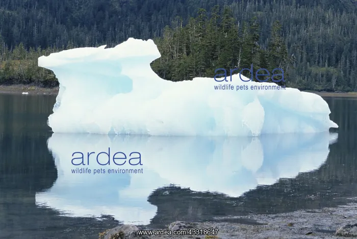 : Iceberg in Prince William Sound : Iceberg in Prince William Sound