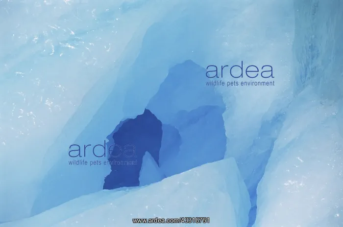 : Iceberg in Prince William Sound : Iceberg in Prince William Sound