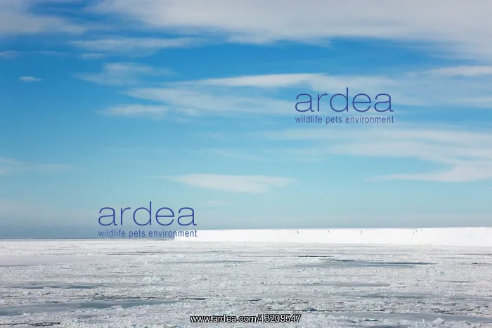 : Iceberg, Snow Hill Island, Antarctica : Iceberg, Snow Hill Island, Antarctica