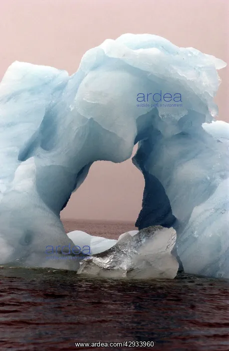  : Iceberg - Spitzbergen