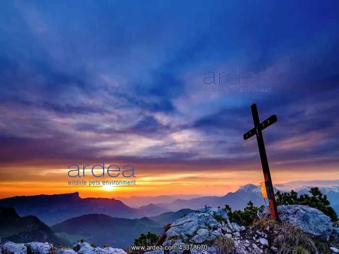 : Iceberg summit cross and cloudy atmosphere at sunrise : Iceberg summit cross and cloudy atmosphere at sunrise