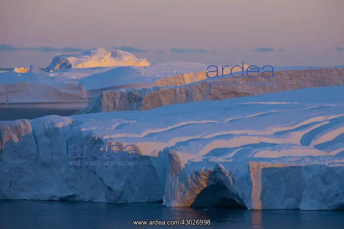 : Iceberg at sunrise - Ilulissat Icefjord - Greenland : Iceberg at sunrise - Ilulissat Icefjord - Greenland
