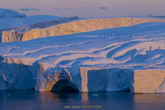 : Iceberg at sunrise - Ilulissat Icefjord - Greenland : Iceberg at sunrise - Ilulissat Icefjord - Greenland