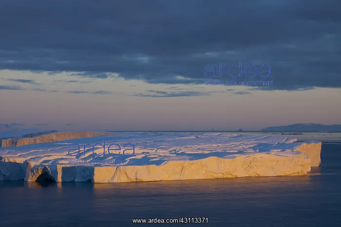 : Iceberg at sunrise - Ilulissat Icefjord - Greenland : Iceberg at sunrise - Ilulissat Icefjord - Greenland