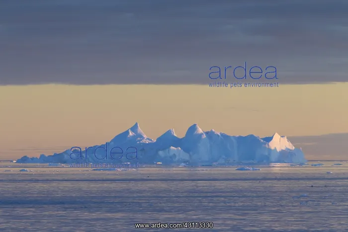 : Iceberg at sunset - Ilulissat Icefjord - Greenland : Iceberg at sunset - Ilulissat Icefjord - Greenland