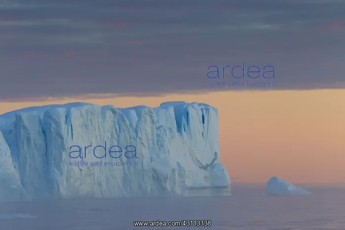 : Iceberg at sunset - Ilulissat Icefjord - Greenland : Iceberg at sunset - Ilulissat Icefjord - Greenland