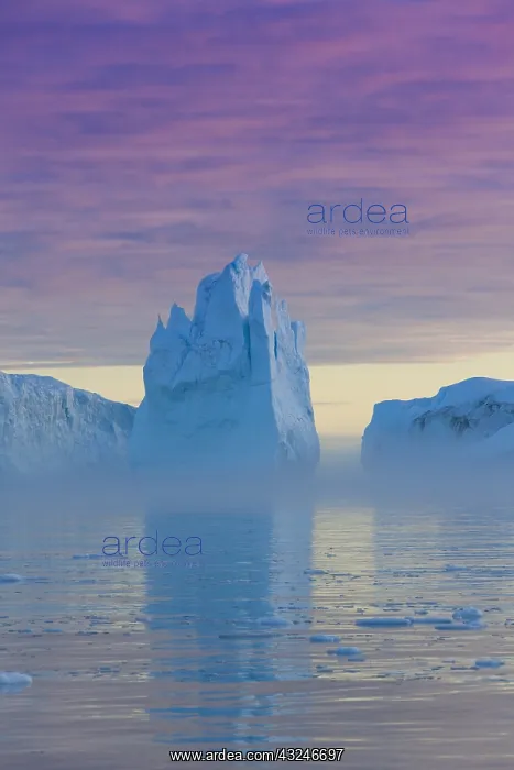 : Iceberg at sunset - Ilulissat Icefjord - Greenland : Iceberg at sunset - Ilulissat Icefjord - Greenland