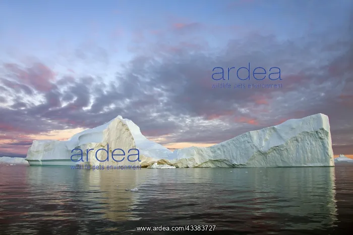 : Iceberg at sunset in the Kangia icefjord, Disko-Bay : Iceberg at sunset in the Kangia icefjord, Disko-Bay