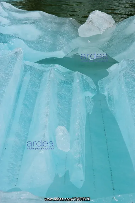 : Iceberg textures : Iceberg textures