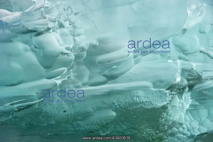  : Iceberg textures