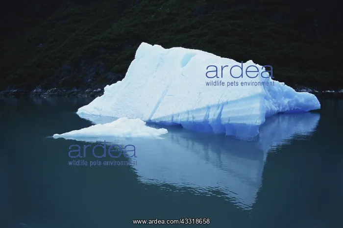  : Iceberg, Tracy Arm, Alaska